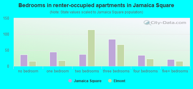 Bedrooms in renter-occupied apartments in Jamaica Square