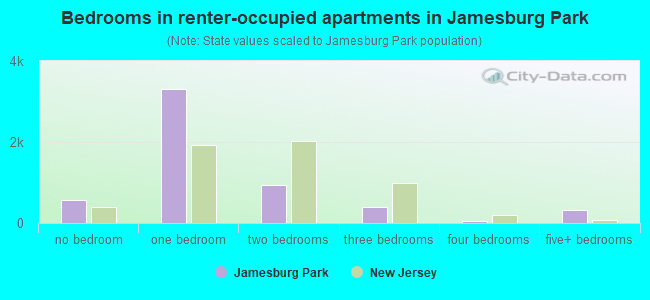Bedrooms in renter-occupied apartments in Jamesburg Park