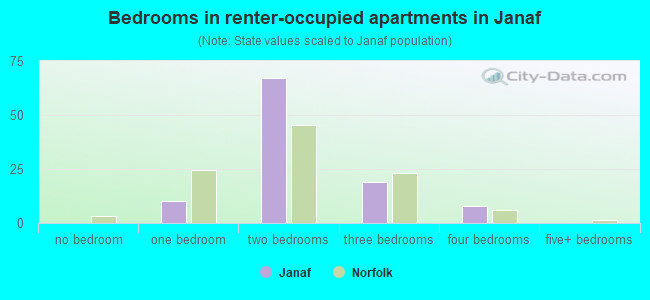Bedrooms in renter-occupied apartments in Janaf