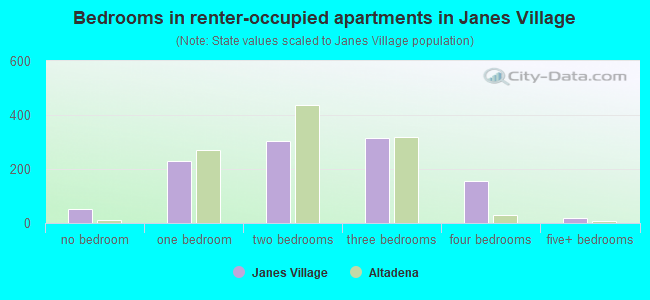 Bedrooms in renter-occupied apartments in Janes Village