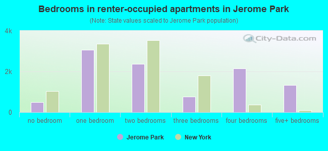 Bedrooms in renter-occupied apartments in Jerome Park