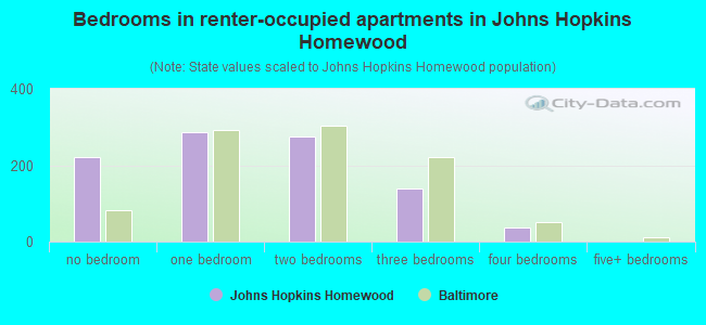 Bedrooms in renter-occupied apartments in Johns Hopkins Homewood