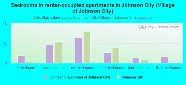 Bedrooms in renter-occupied apartments in Johnson City (Village of Johnson City)