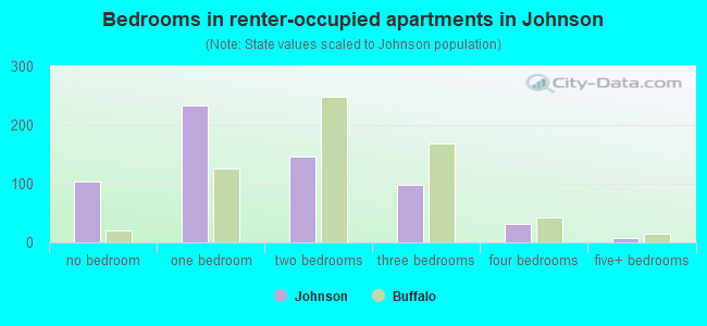 Bedrooms in renter-occupied apartments in Johnson