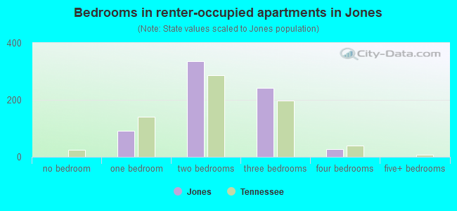 Bedrooms in renter-occupied apartments in Jones