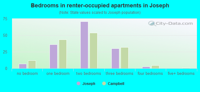 Bedrooms in renter-occupied apartments in Joseph