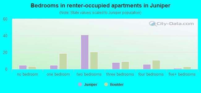 Bedrooms in renter-occupied apartments in Juniper