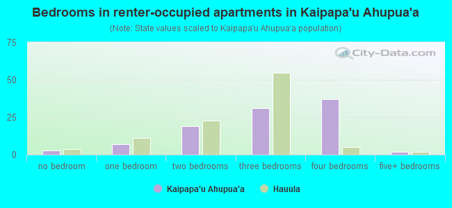 Bedrooms in renter-occupied apartments in Kaipapa`u Ahupua`a