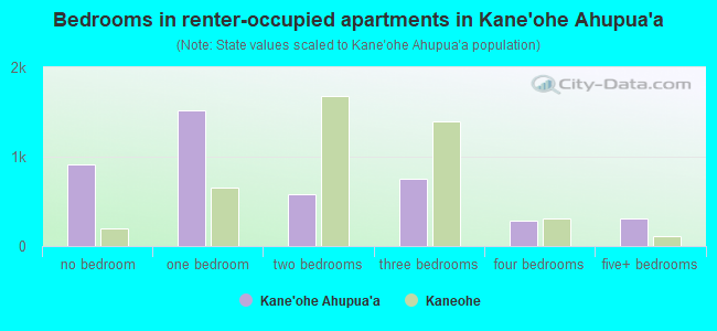 Bedrooms in renter-occupied apartments in Kane`ohe Ahupua`a