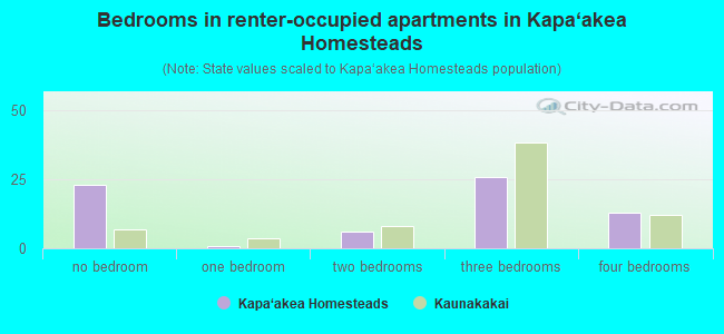 Bedrooms in renter-occupied apartments in Kapa‘akea Homesteads