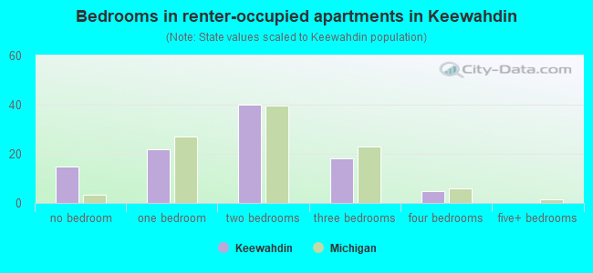 Bedrooms in renter-occupied apartments in Keewahdin