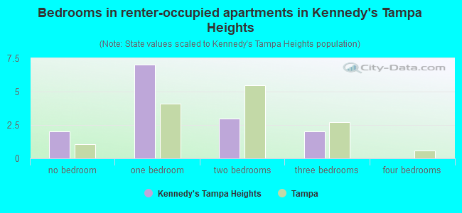 Bedrooms in renter-occupied apartments in Kennedy's Tampa Heights