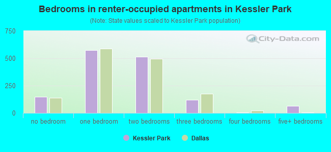 Bedrooms in renter-occupied apartments in Kessler Park