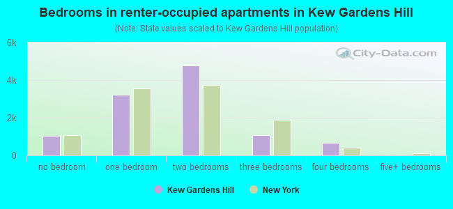Bedrooms in renter-occupied apartments in Kew Gardens Hill