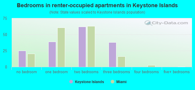 Bedrooms in renter-occupied apartments in Keystone Islands