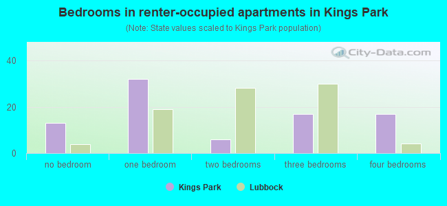 Bedrooms in renter-occupied apartments in Kings Park