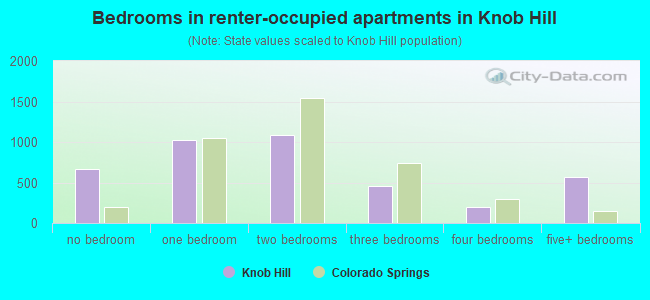 Bedrooms in renter-occupied apartments in Knob Hill