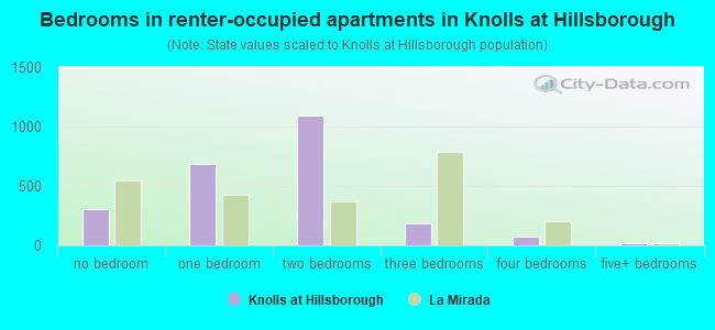 Bedrooms in renter-occupied apartments in Knolls at Hillsborough