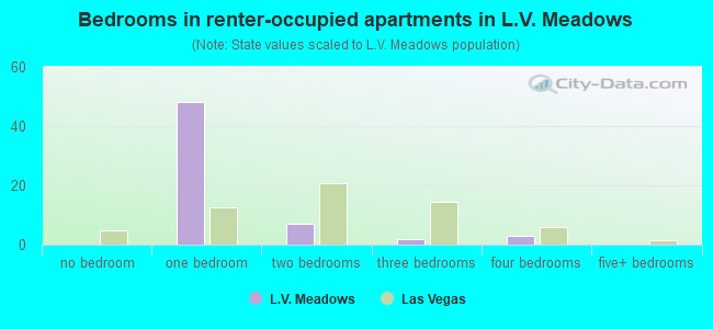 Bedrooms in renter-occupied apartments in L.V. Meadows