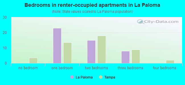 Bedrooms in renter-occupied apartments in La Paloma