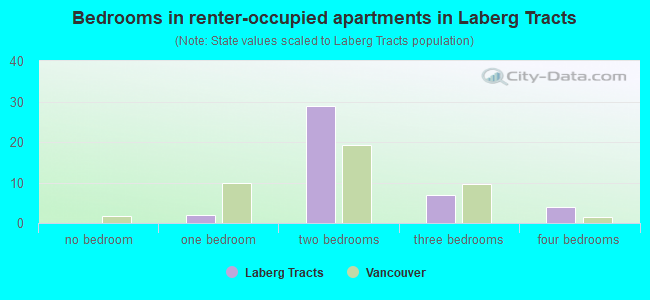 Bedrooms in renter-occupied apartments in Laberg Tracts
