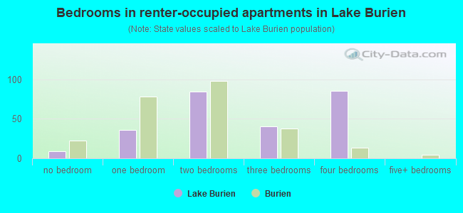 Bedrooms in renter-occupied apartments in Lake Burien