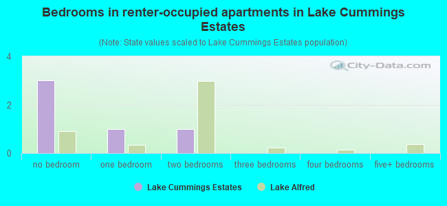 Bedrooms in renter-occupied apartments in Lake Cummings Estates