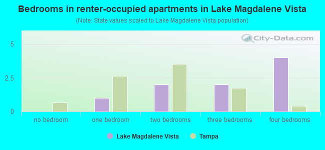 Bedrooms in renter-occupied apartments in Lake Magdalene Vista