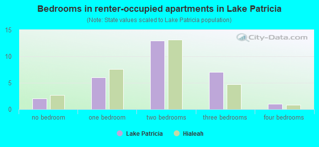 Bedrooms in renter-occupied apartments in Lake Patricia