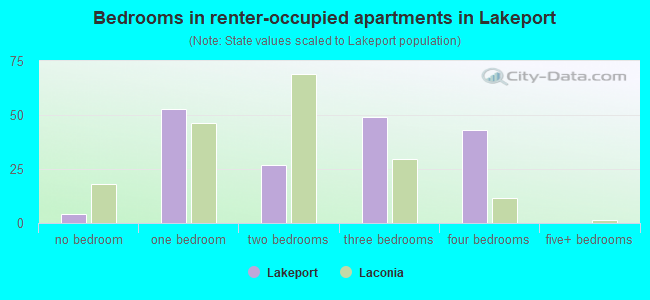 Bedrooms in renter-occupied apartments in Lakeport