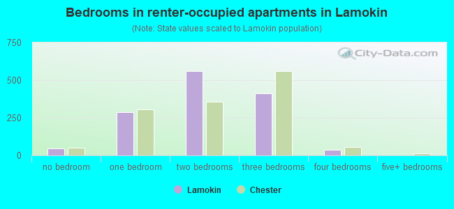 Bedrooms in renter-occupied apartments in Lamokin
