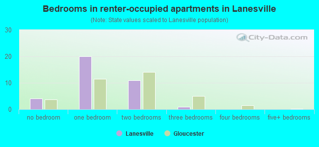 Bedrooms in renter-occupied apartments in Lanesville