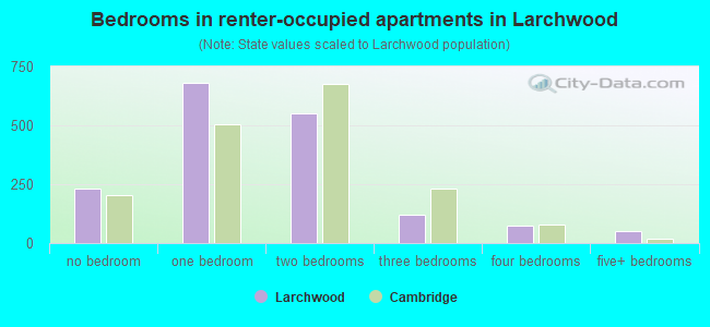 Bedrooms in renter-occupied apartments in Larchwood
