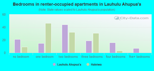 Bedrooms in renter-occupied apartments in Lauhulu Ahupua`a