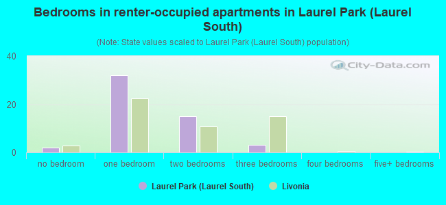 Bedrooms in renter-occupied apartments in Laurel Park (Laurel South)