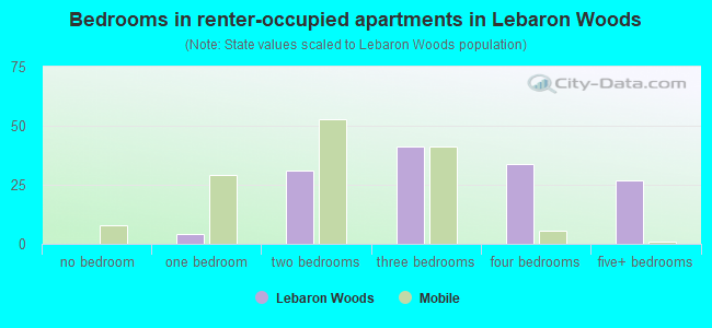 Bedrooms in renter-occupied apartments in Lebaron Woods