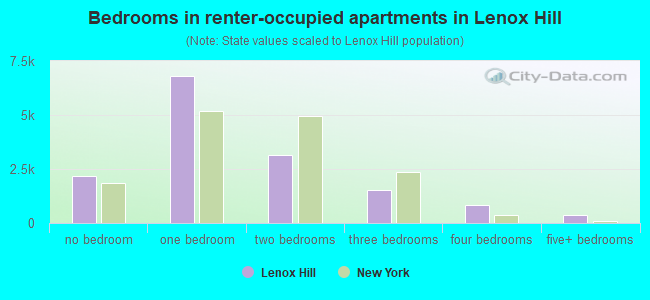 Bedrooms in renter-occupied apartments in Lenox Hill
