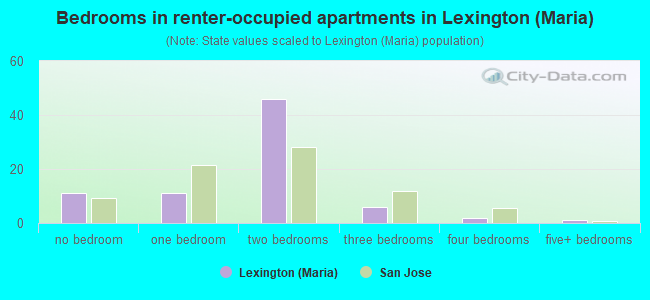 Bedrooms in renter-occupied apartments in Lexington (Maria)