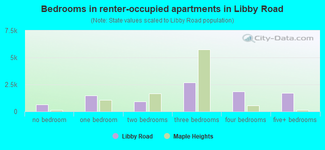 Bedrooms in renter-occupied apartments in Libby Road