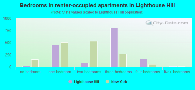 Bedrooms in renter-occupied apartments in Lighthouse Hill
