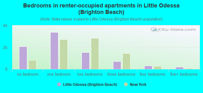 Bedrooms in renter-occupied apartments in Little Odessa (Brighton Beach)