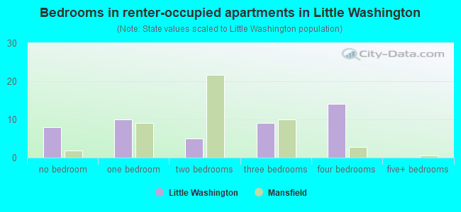 Bedrooms in renter-occupied apartments in Little Washington