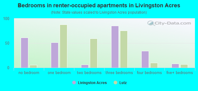 Bedrooms in renter-occupied apartments in Livingston Acres
