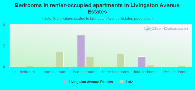 Bedrooms in renter-occupied apartments in Livingston Avenue Estates