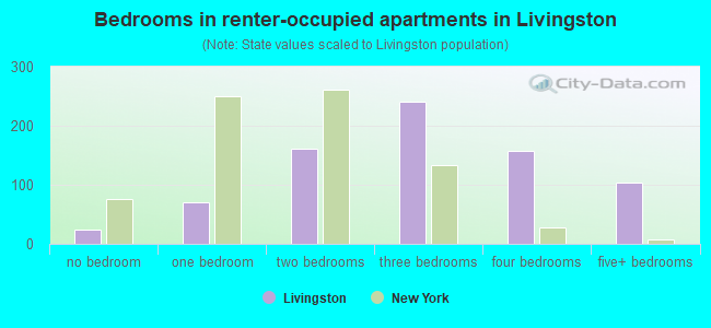 Bedrooms in renter-occupied apartments in Livingston