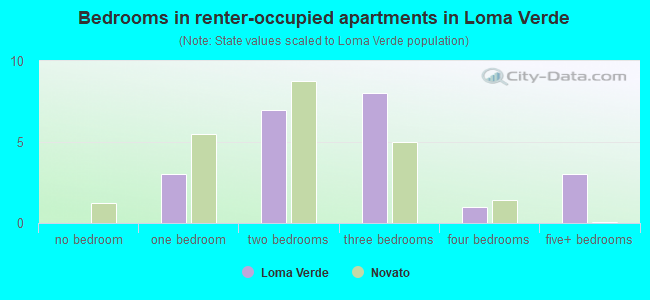 Bedrooms in renter-occupied apartments in Loma Verde