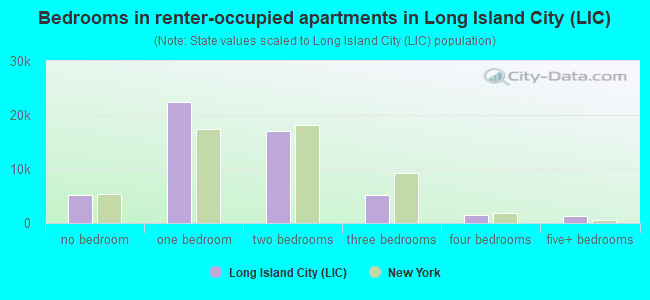 Bedrooms in renter-occupied apartments in Long Island City (LIC)
