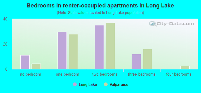 Bedrooms in renter-occupied apartments in Long Lake