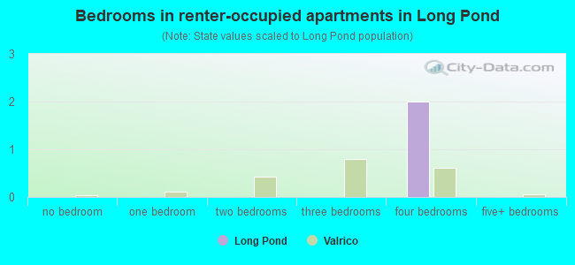 Bedrooms in renter-occupied apartments in Long Pond