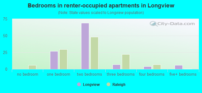 Bedrooms in renter-occupied apartments in Longview